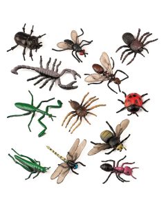 Insects Set of 12