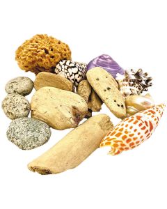 Beachcomber's Set of 14