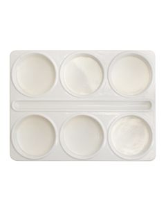 Paint Palette Tray