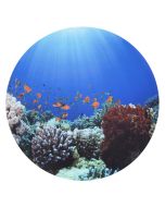 Under The Sea Discovery Play Mat