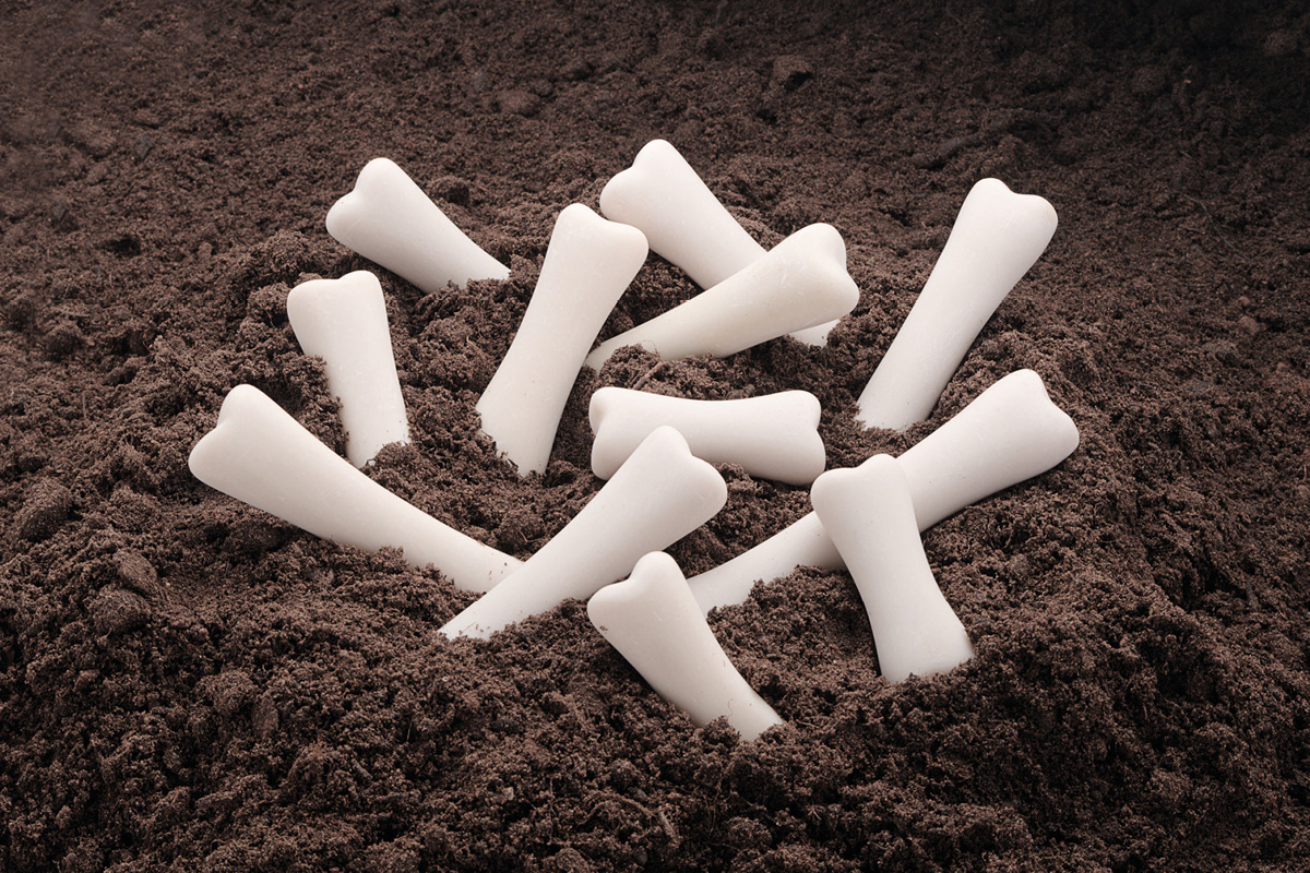 Uncovering Prehistoric Wonders: Dinosaur Bones Discovery Set
