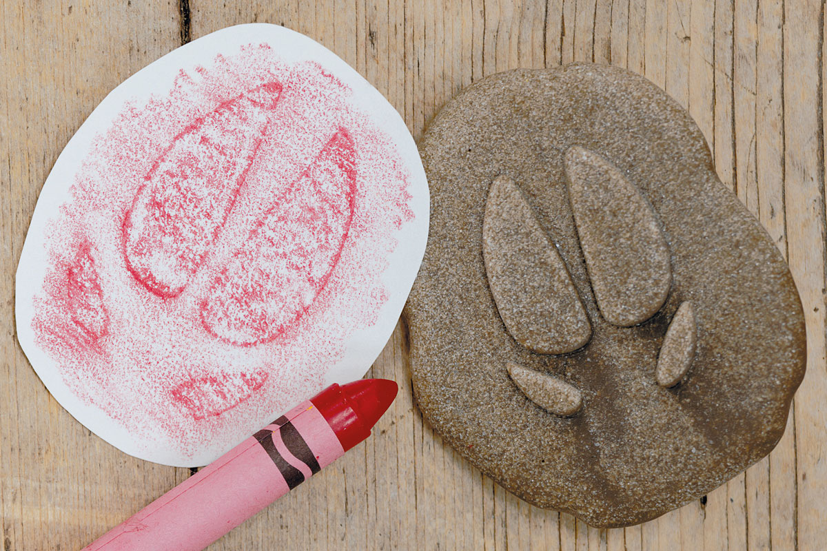 Exploring Farmyard Footprints: Fun Farm Activities for Toddlers and Preschoolers