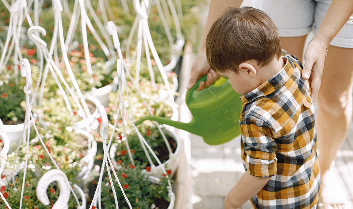 Sustainability in Childcare Centres: Including Sustainable Practices in Early Childhood Education